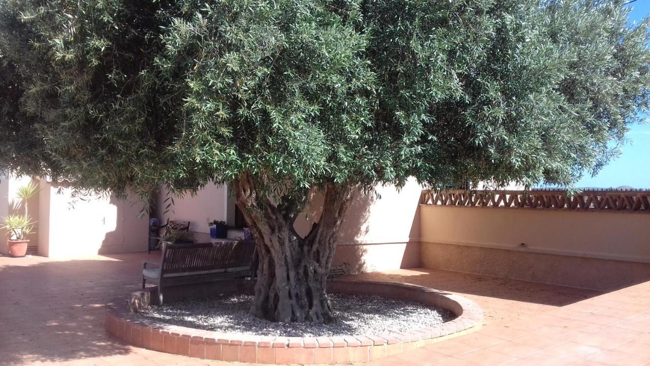 Finca Milagro Villa San Fulgencio Eksteriør billede