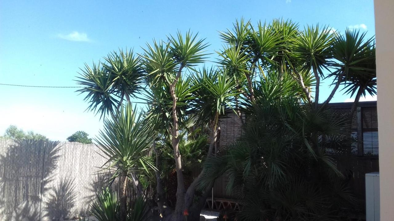 Finca Milagro Villa San Fulgencio Eksteriør billede